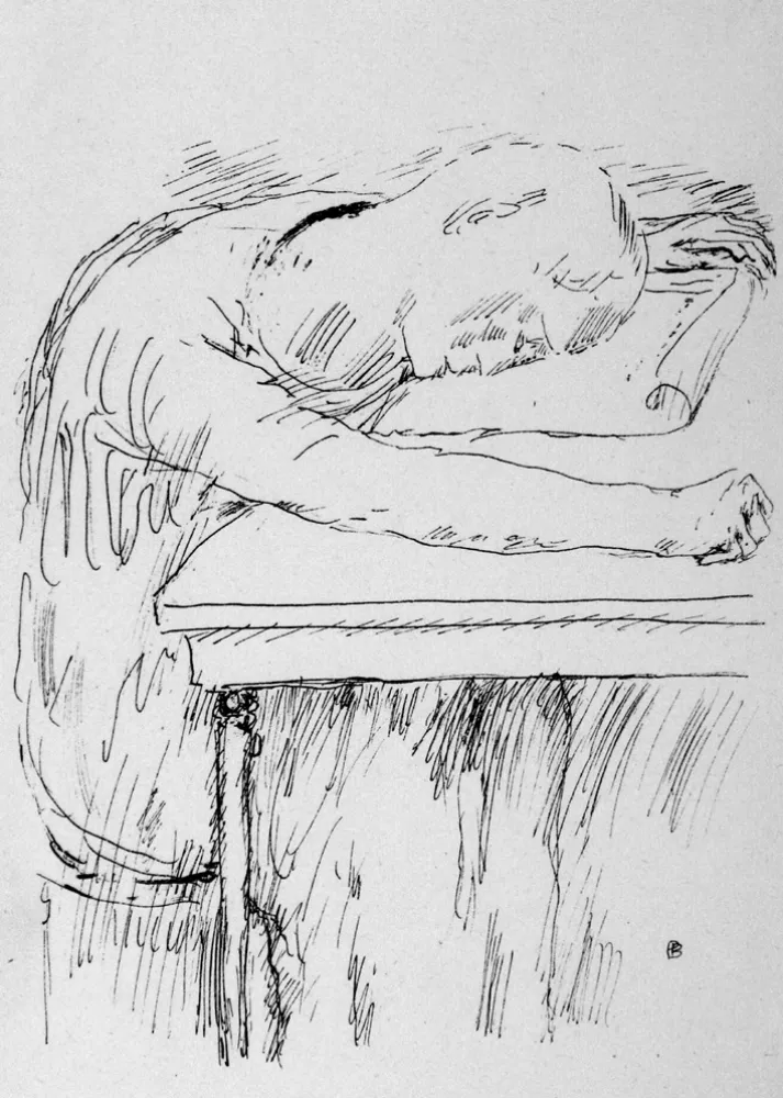 石版画 Bonnard - La pausa