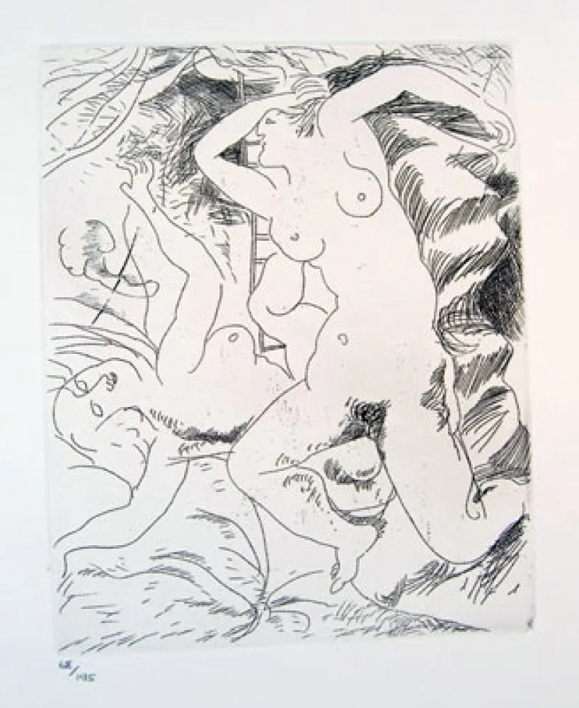 蚀刻版画 Bores - Carpeta