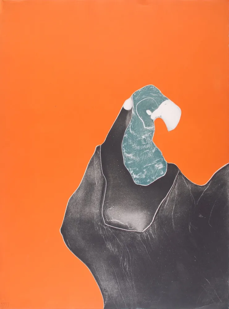 蚀刻版画 Brillant - Le Rocher Perroquet