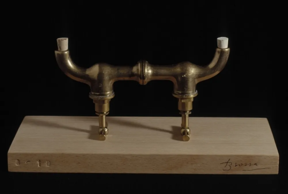 复数作品 Brossa - Pont d'aixetes