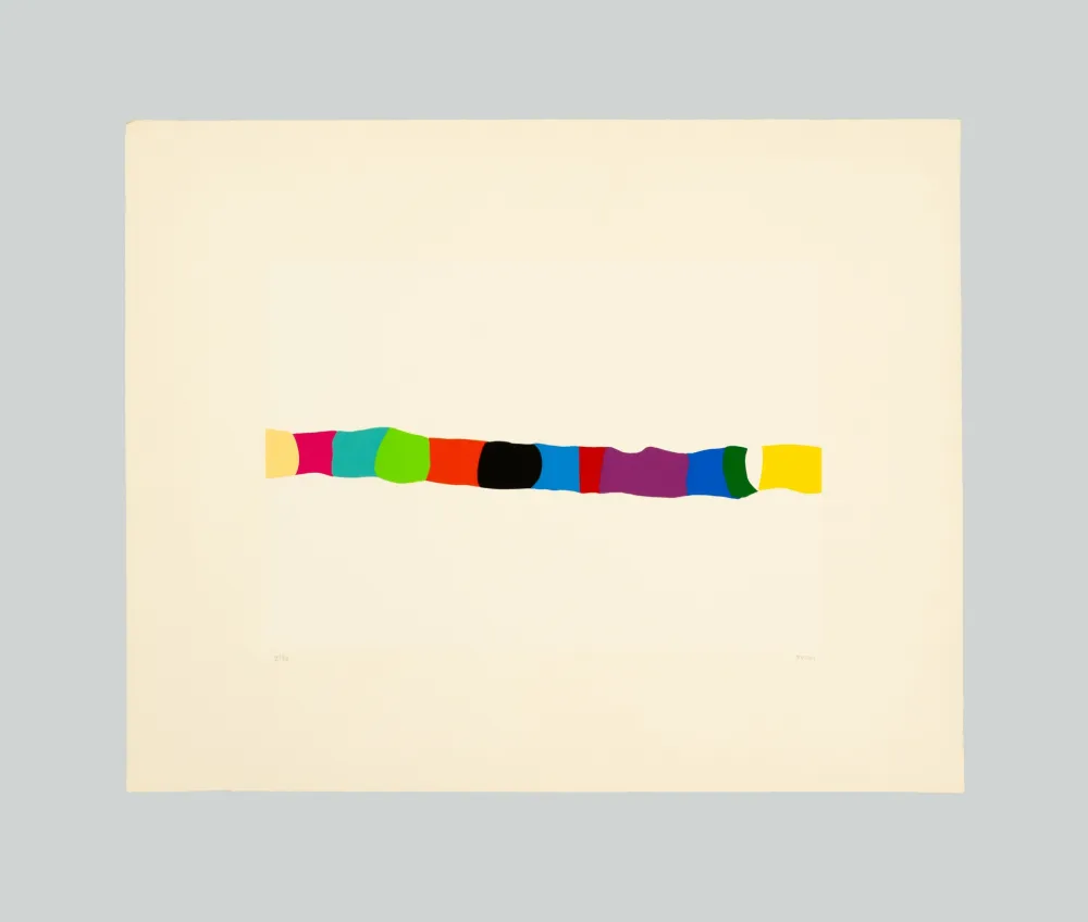 丝网印刷 Burri - Serigrafia 2-C