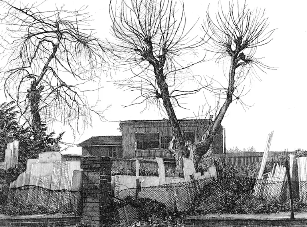 蚀刻版画 Cacciarini - Alberi