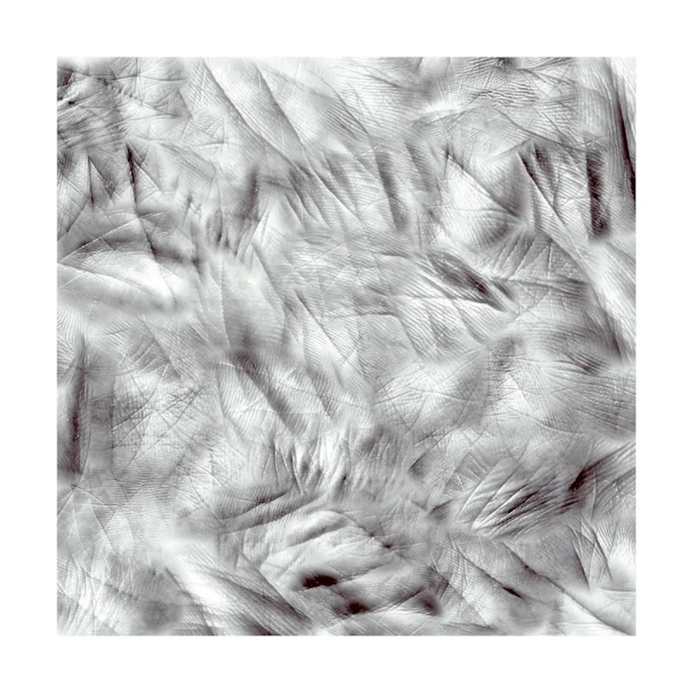 摄影 Canogar - Life Lines