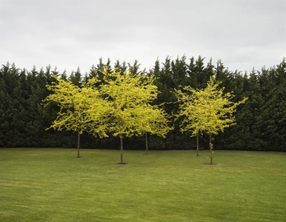 摄影 Canovas - SEVENTH HEAVEN - 1