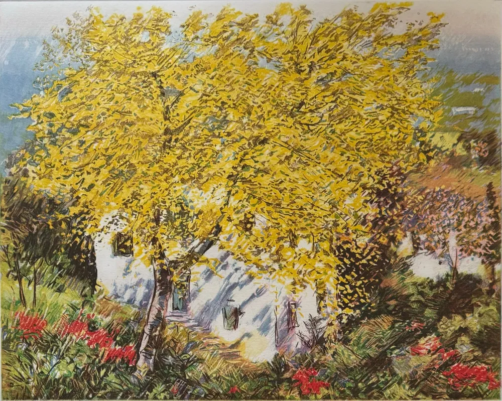 蚀刻版画 Cascella - Natura