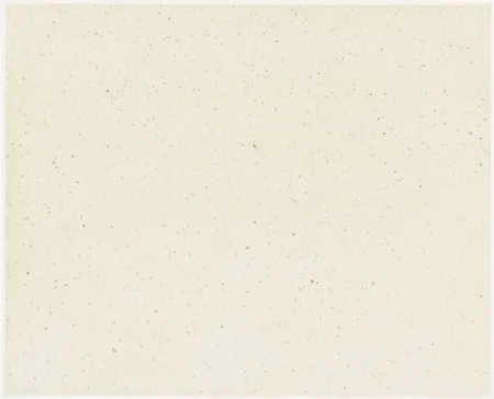 复数作品 Celmins - Night Sky 1 ( Reversed )