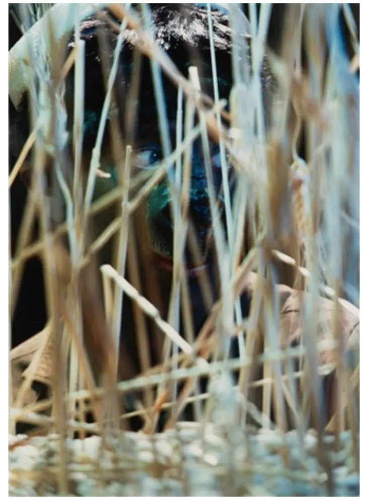 摄影 Cindy - Untitled (from The Portfolio for Joseph Beuys)