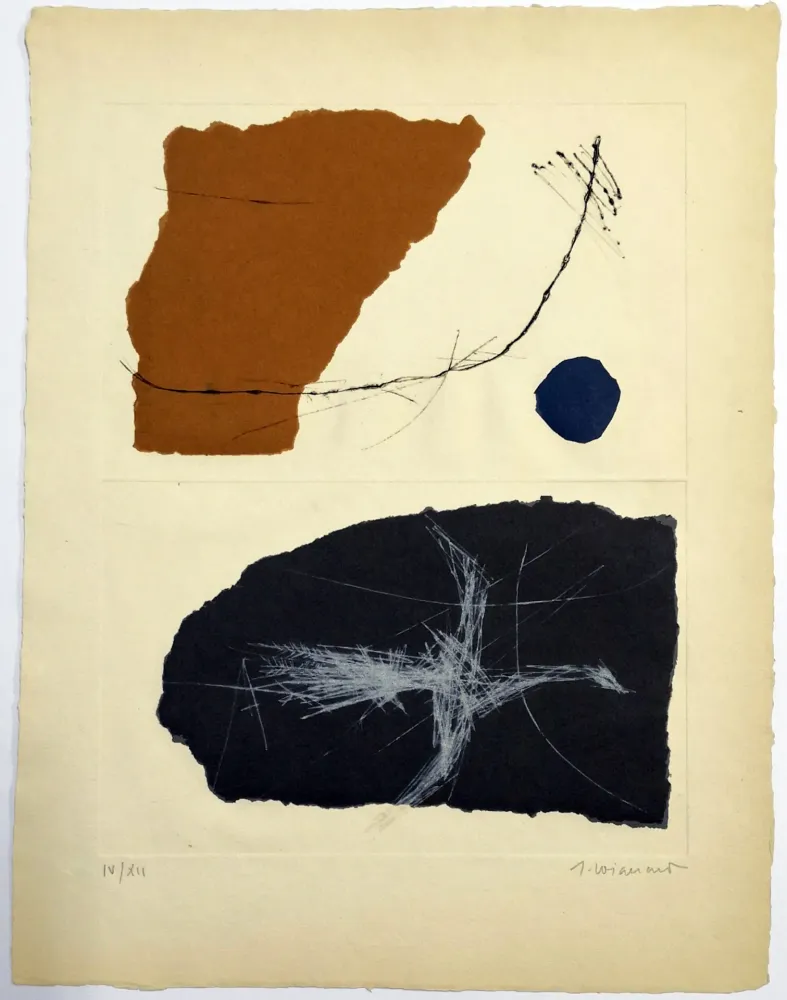 蚀刻版画 Coignard - Envols 1