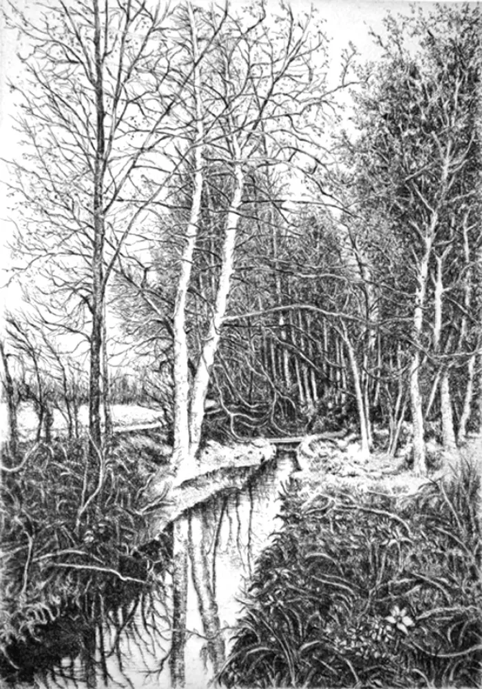 蚀刻版画 Cotugno  - Autunno