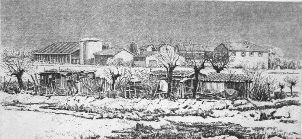 蚀刻版画 Cotugno  - Orti a cascina San Marco (I stato)