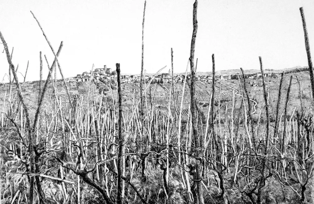 蚀刻版画 Cotugno  - Rovescala