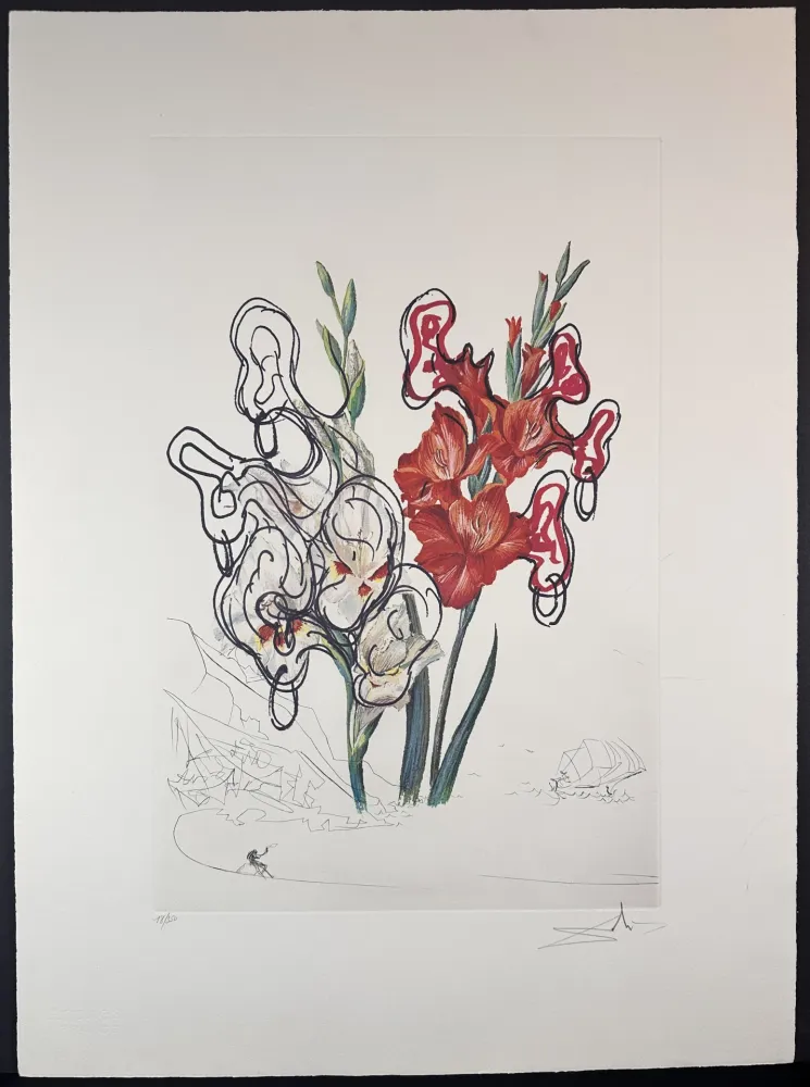 版画 Dali - Florals Gladiolus Costa Brava