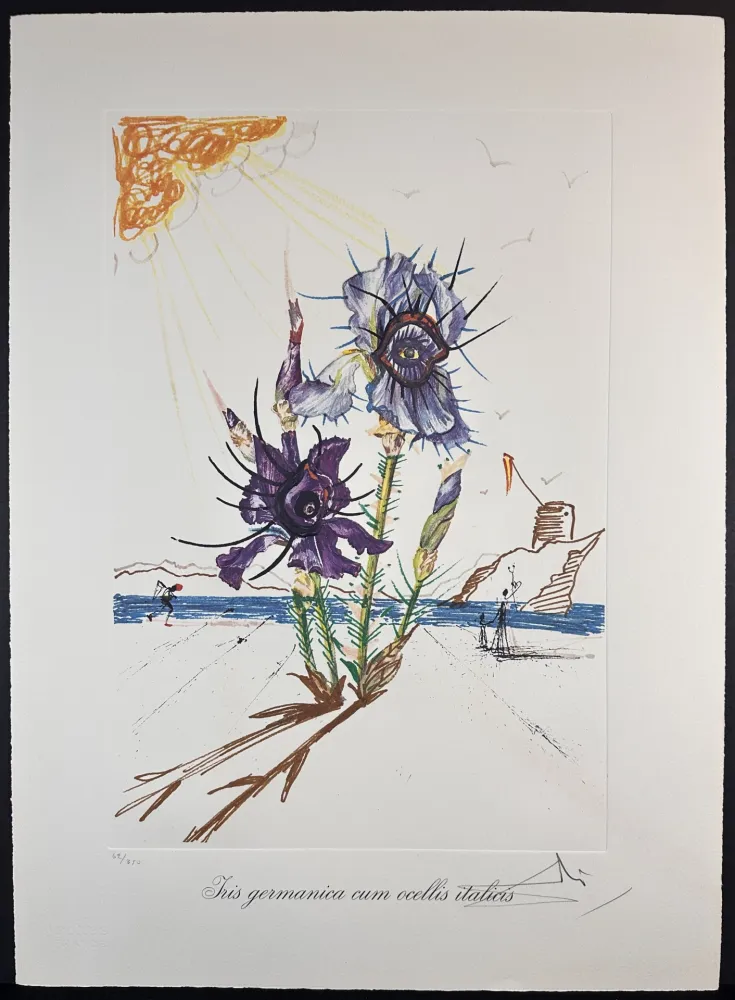 版画 Dali - Florals Iris of Dali's Youth