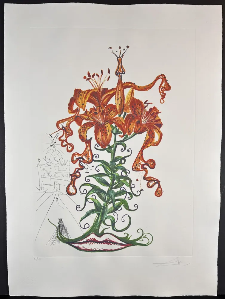 版画 Dali - Florals Tiger Lilies