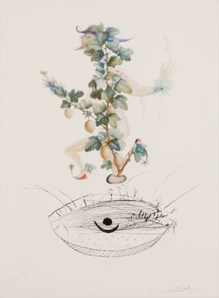 版画 Dali - Flordali - Révérence du Groseiller