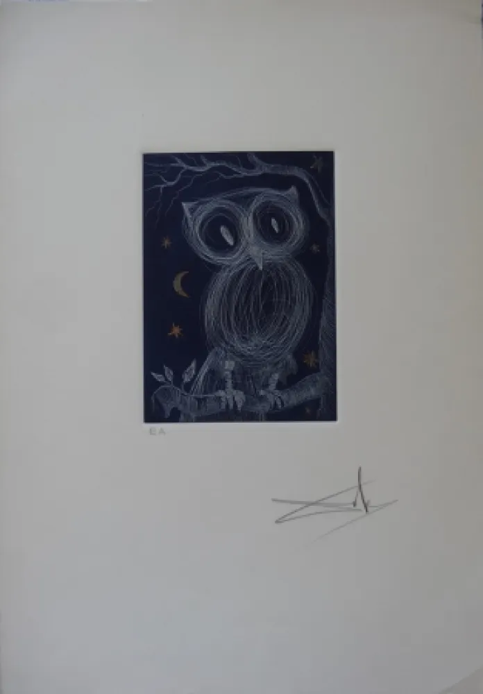 蚀刻版画 Dali - La petite chouette