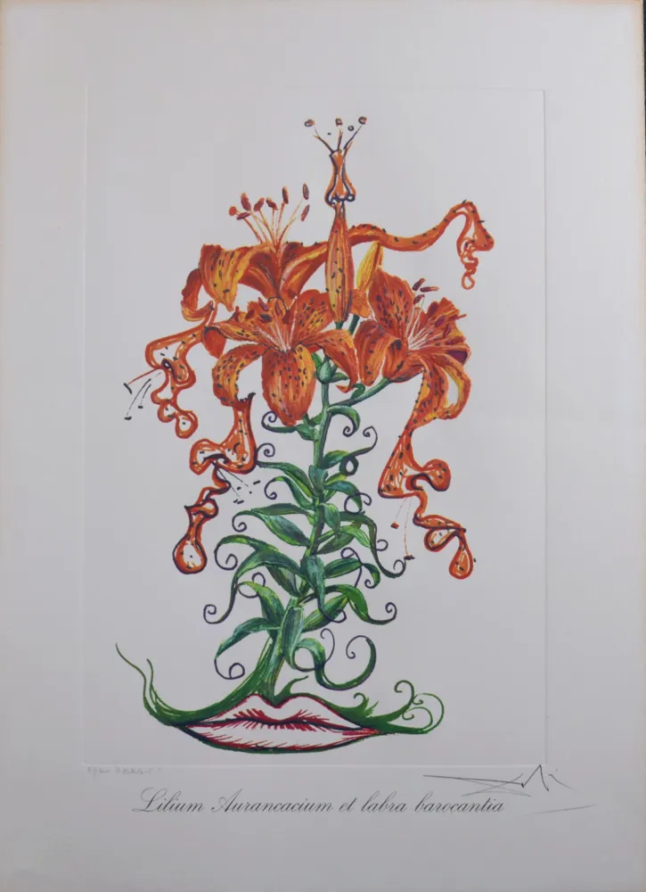 复数作品 Dali - Lilium Aurancacium et labra barocantia, 1972 - Hand-signed!