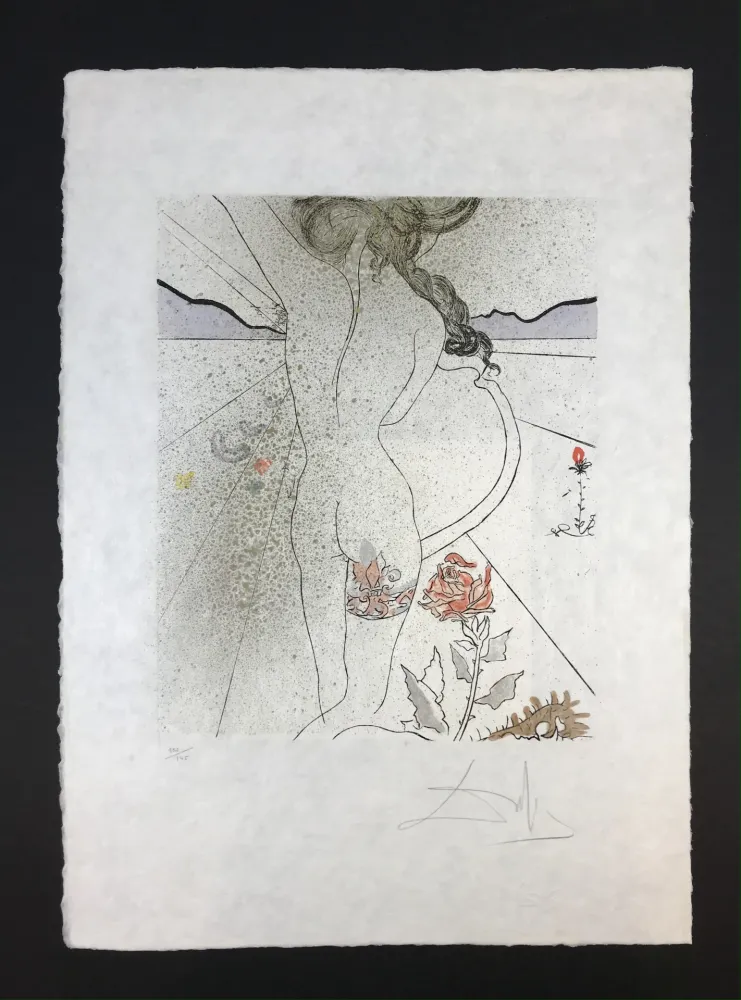 复数作品 Dali - Nu à la jarretiére ( Nude with Garter )