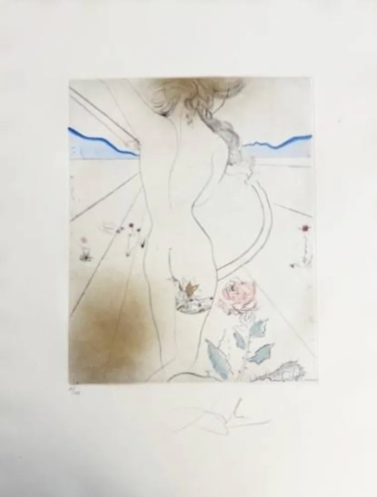 干刻版画 Dali - Nu à la jarretière (Nude with Garter)