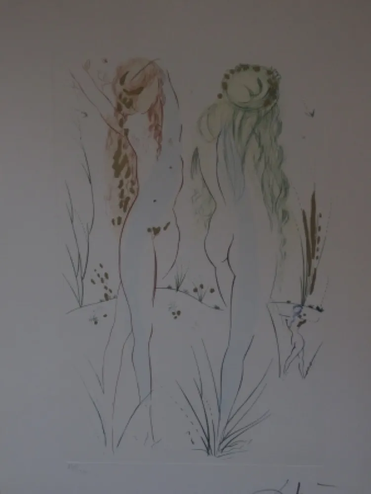 蚀刻飞尘法 Dali - Sans titre