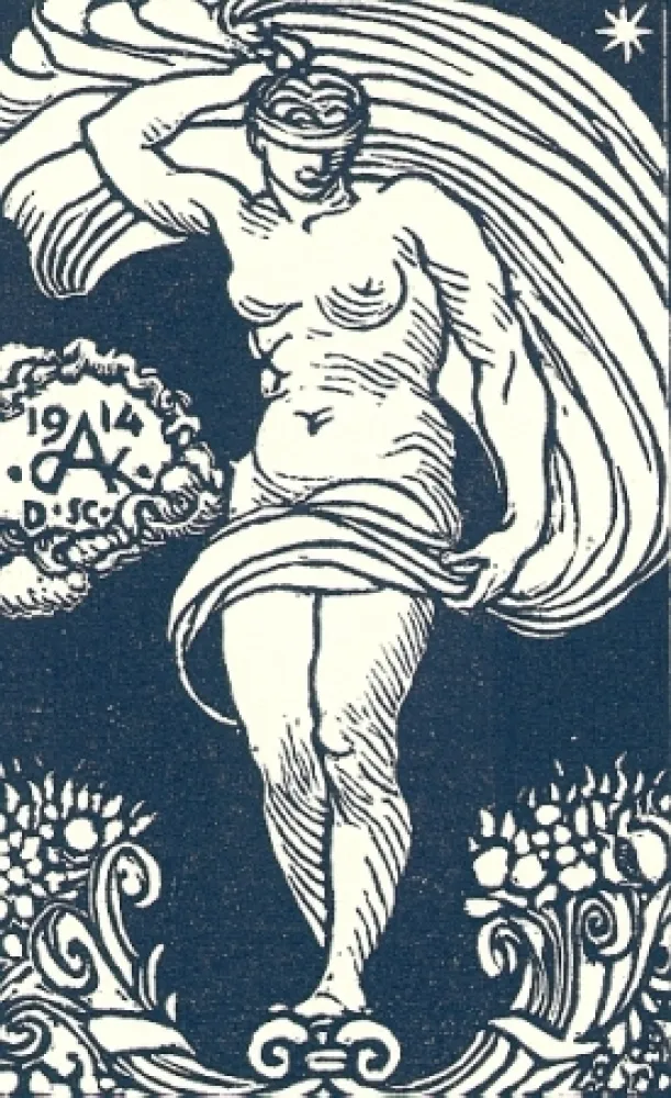 插图书 De Carolis - Le carte da gioco