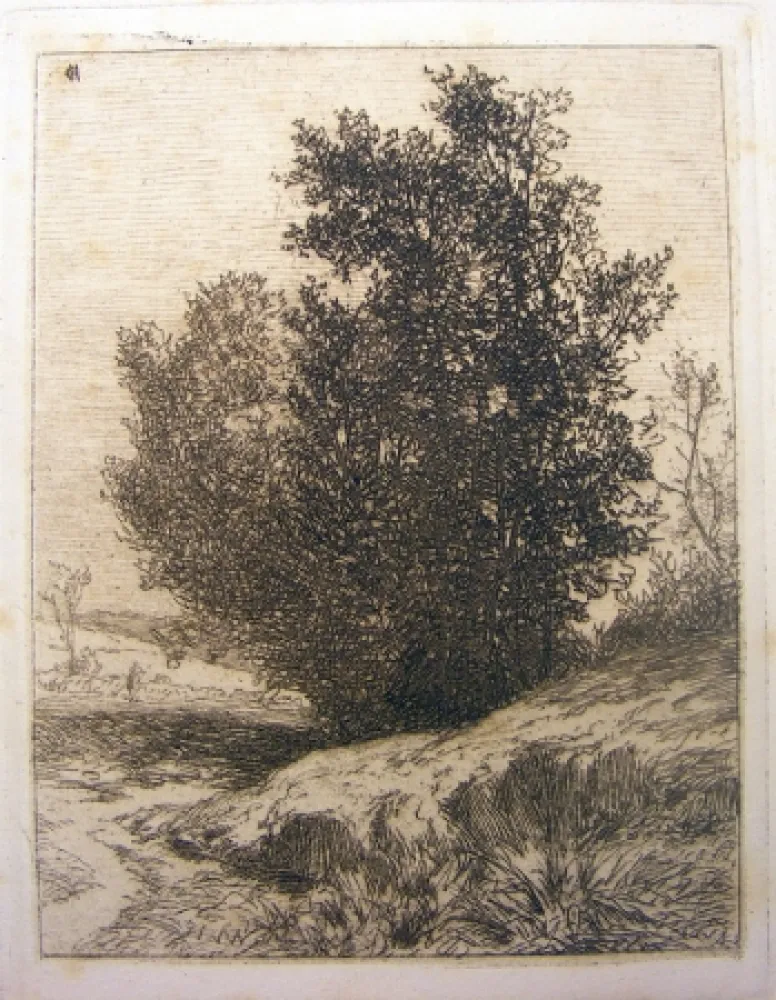 版画 De Haes - Paisaje (Árboles)