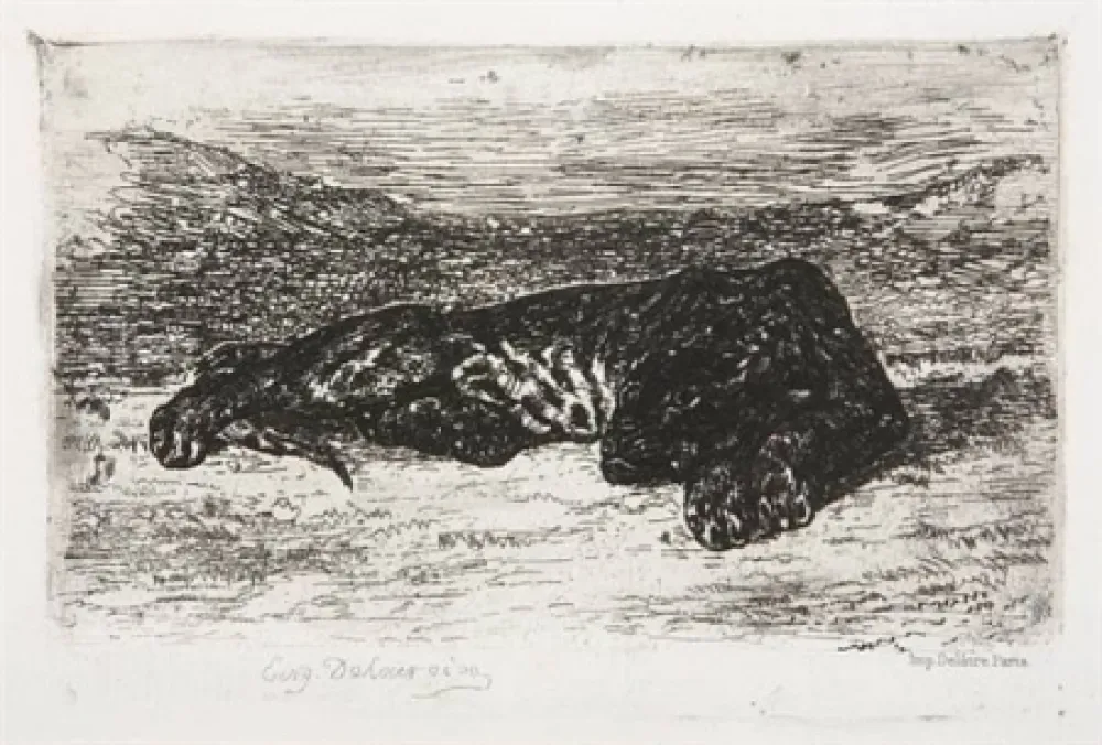 版画 Delacroix - Tigre couché dans le désert