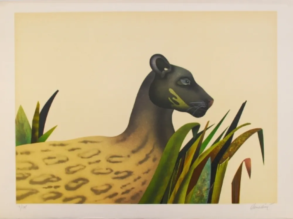 石版画 Donadini - Wildcat