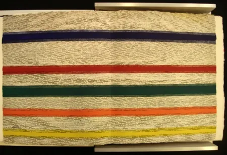 插图书 Dorazio - New Jersey