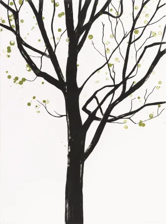 石版画 Drummond - Cathedral