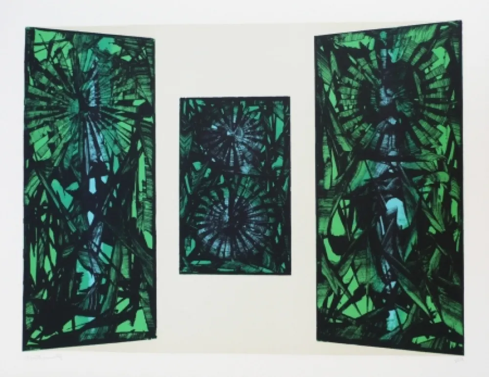 石版画 Ernst - Terra Incognita 11