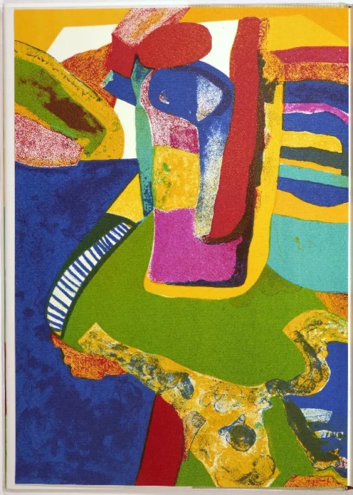 插图书 Esteve - Maurice Estève. L’oeuvre gravé