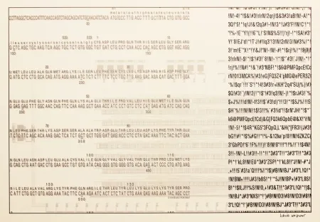 丝网印刷 Export - Selbstporträt (Self Portrait)