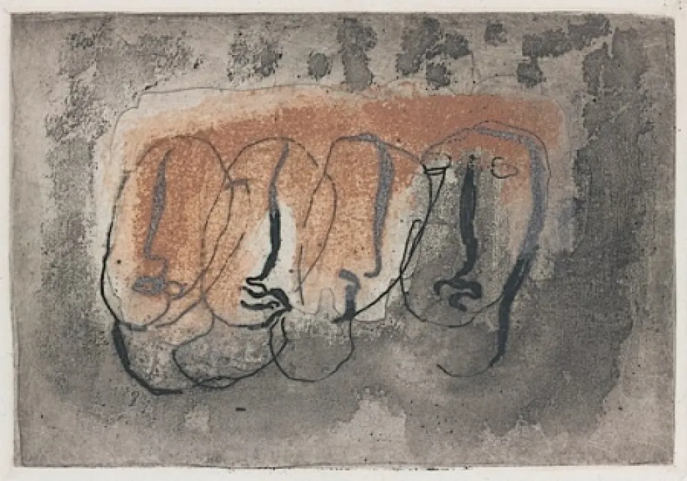 插图书 Fautrier - Orenoque