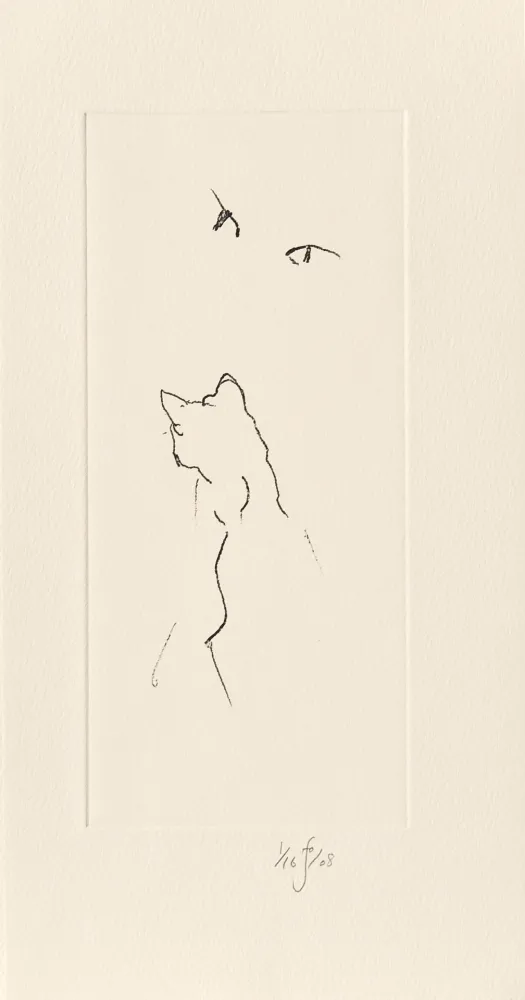 版画 Flanagan - Panda