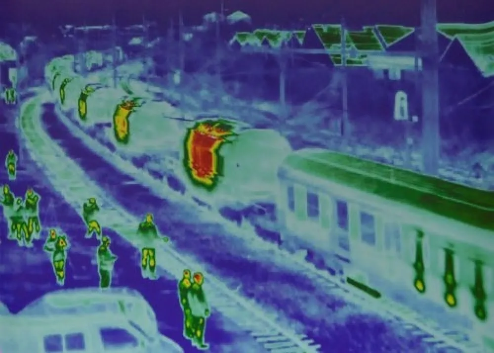 复数作品 Fontaine - Untitled: (Castor #1.)