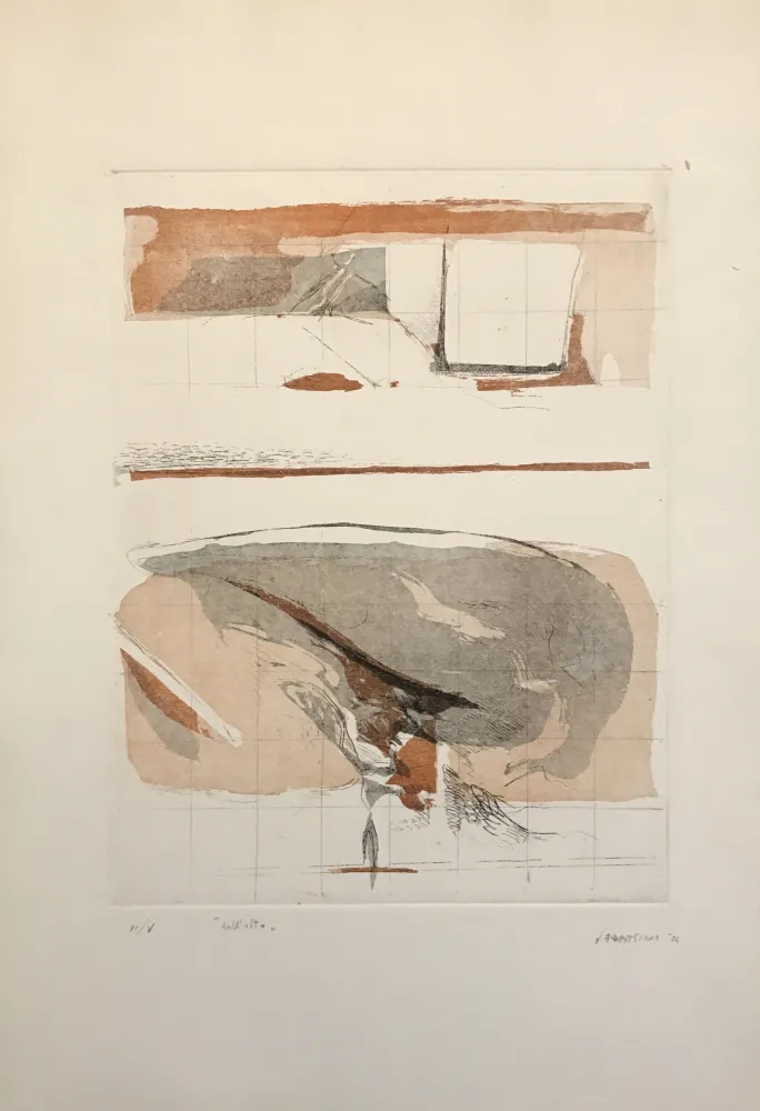 蚀刻飞尘法 Frattini - Dall'alto