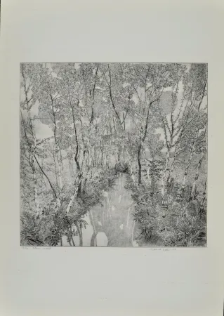 蚀刻版画 Galli - Alberi malati