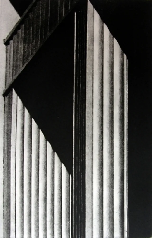 插图书 Gibson - Metafora