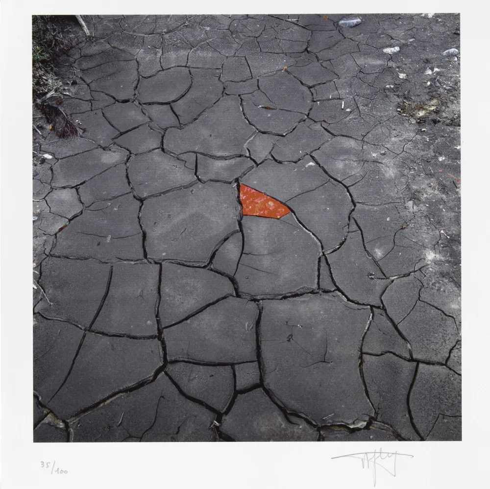 数码版画 Goldsworthy - Red Leaves on Cracked earth