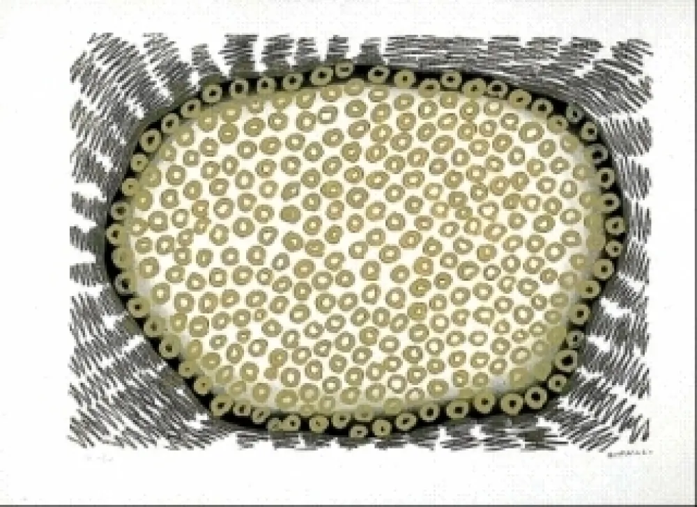 石版画 Gordillo - Sans titre