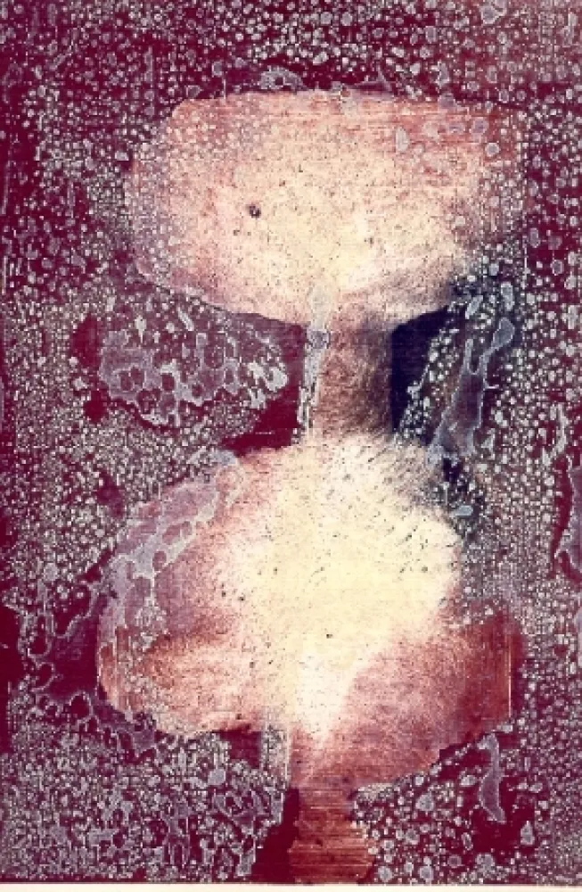 插图书 Greco - E' femmina la terra