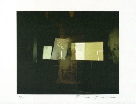 石版画 Guerzoni - Pagine Furiose