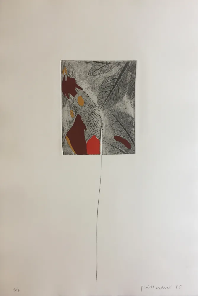 版画 Guinovart - Fulles 3