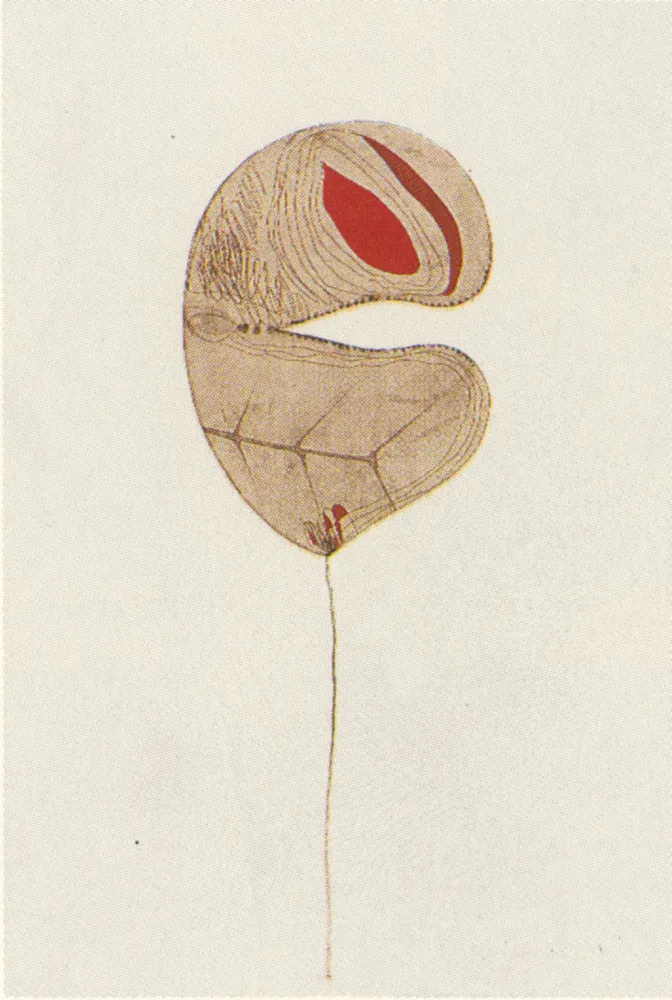 复数作品 Guinovart - Fulles-6