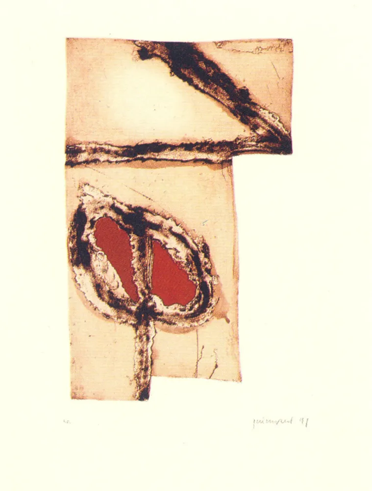 复数作品 Guinovart - Imatges i terra-5