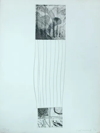 蚀刻版画 Guinovart - S/T