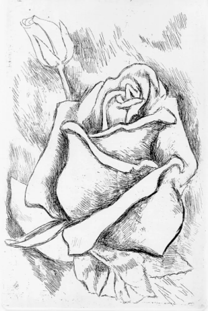 插图书 Guttuso - Gli anni delle immagini perdute