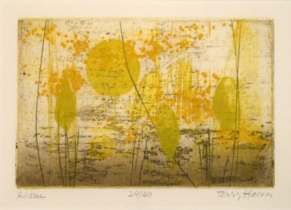 版画 Haass - Alisme