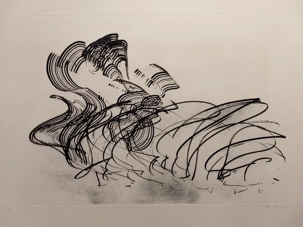 蚀刻版画 Hartung - Aguafuertes